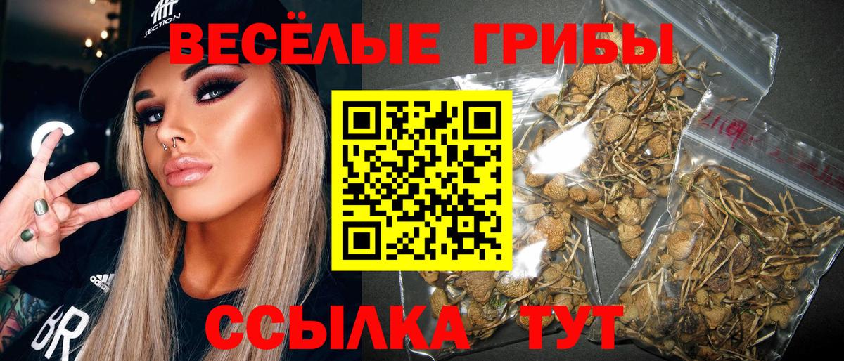 Галлюциногенные грибы мухоморы  Псилоцибиновые грибы GOLDEN TEACHER  Волхов  Вход с VPN 